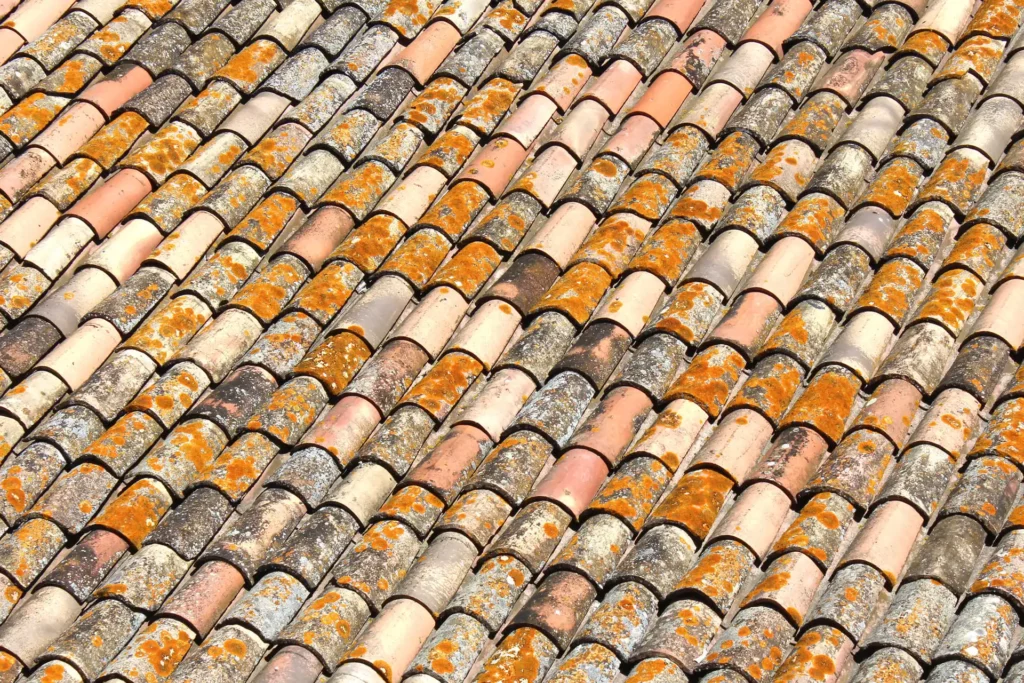 toiture endommagée par du lichen